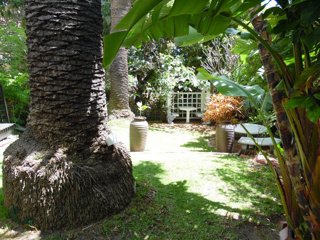 Albatross Guest House Cape Town Exterior photo